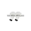 Artboard 1 copy 5.webp