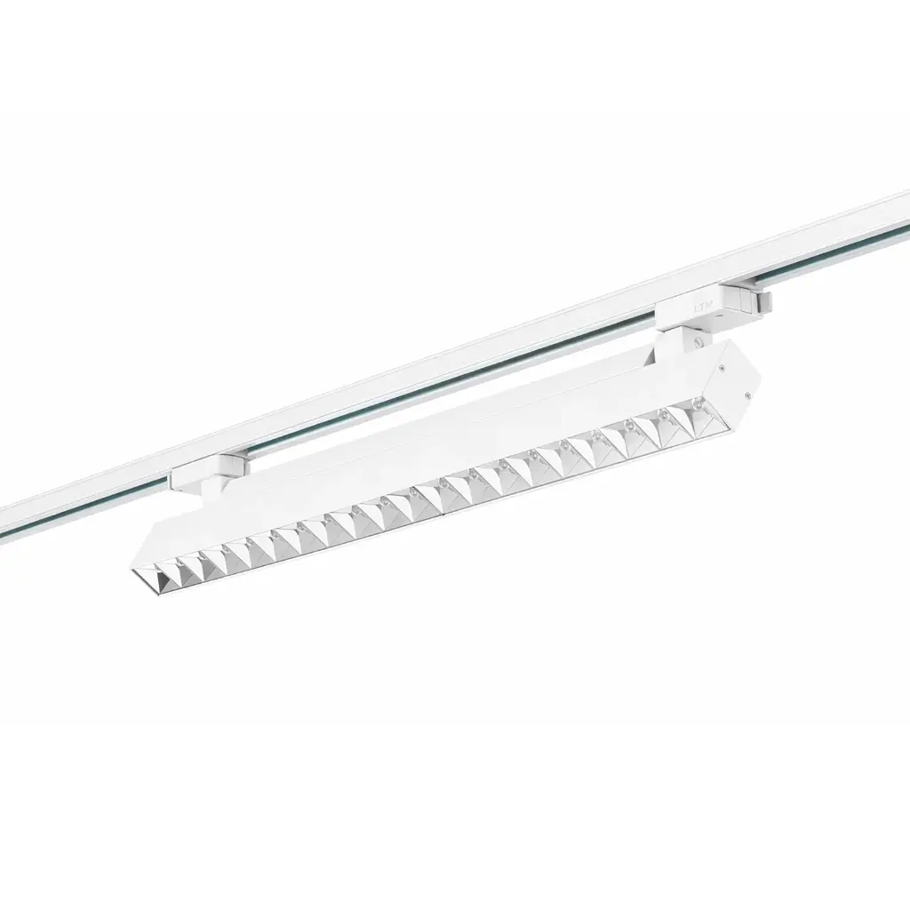 Artboard 1 copy 7.webp