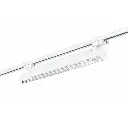 Artboard 1 copy 7.webp