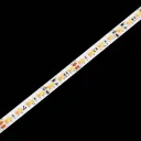 ORi CCT GLOW (13.5W)