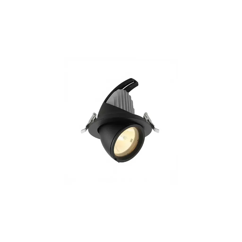 SIENA N-2.1