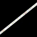 ORi HIGH EFFICIENCY (6.6W)